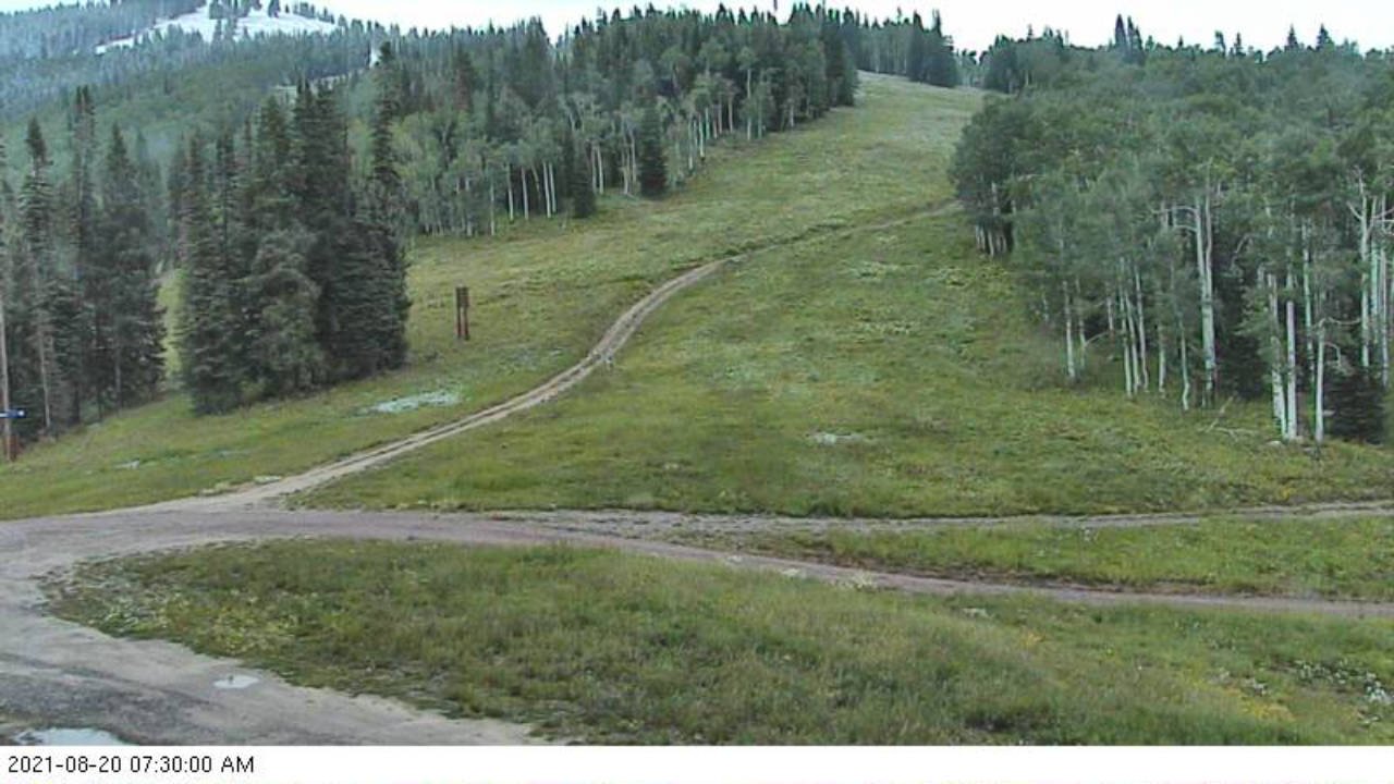 First snow from Rendezvous on 20 August 2021