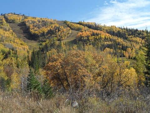 Lower mountain from tenderfoot 8 Oct 2014