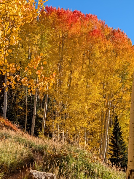 Click to sign up for free weather forecasts for Steamboat Springs!
