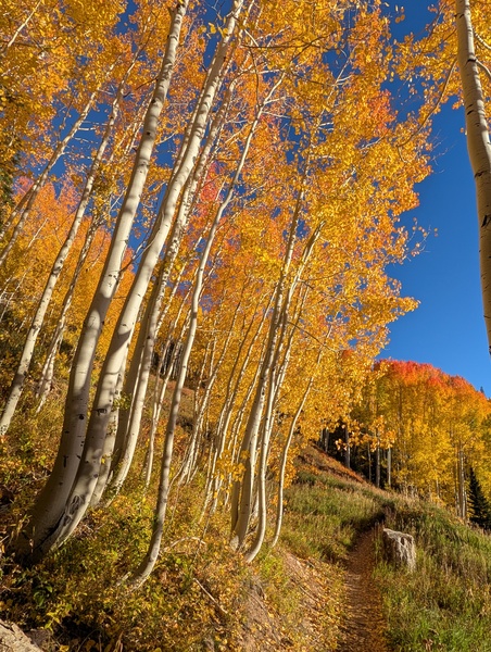 Click to sign up for free weather forecasts for Steamboat Springs!