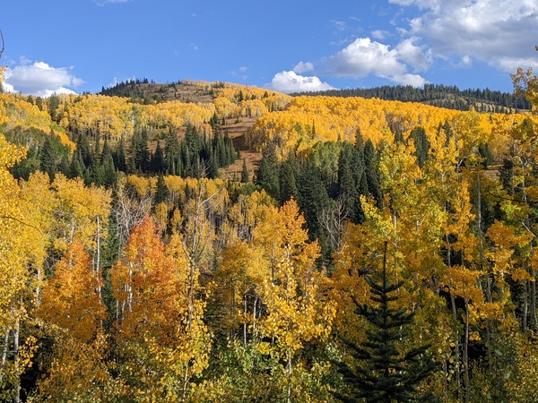 Click to sign up for free weather forecasts for Steamboat Springs!