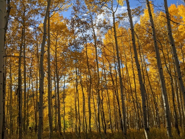 Click to sign up for free weather forecasts for Steamboat Springs!