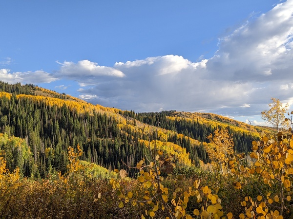 Click to sign up for free weather forecasts for Steamboat Springs!