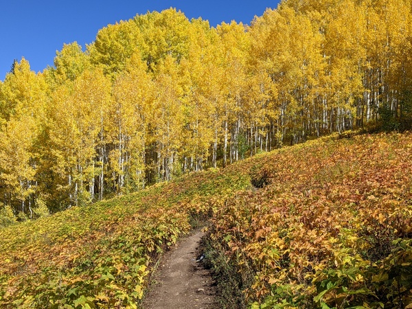 Click to sign up for free weather forecasts for Steamboat Springs!