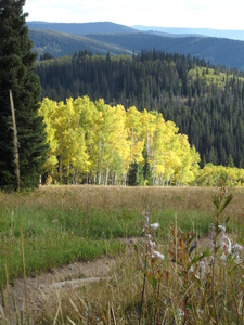 Looking down Sunshine Loop