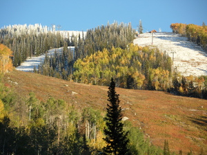 Looking up at Storm Peak from just below the Creekside/Tenderfoot  intersection