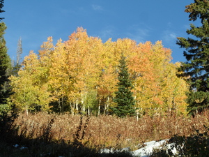 looking up towards High Noon from Duster