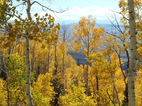 Rustlers Ridge looking over the south valley 19 Oct 2014