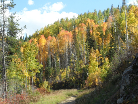 riding up zigzag on 26 sep 2014