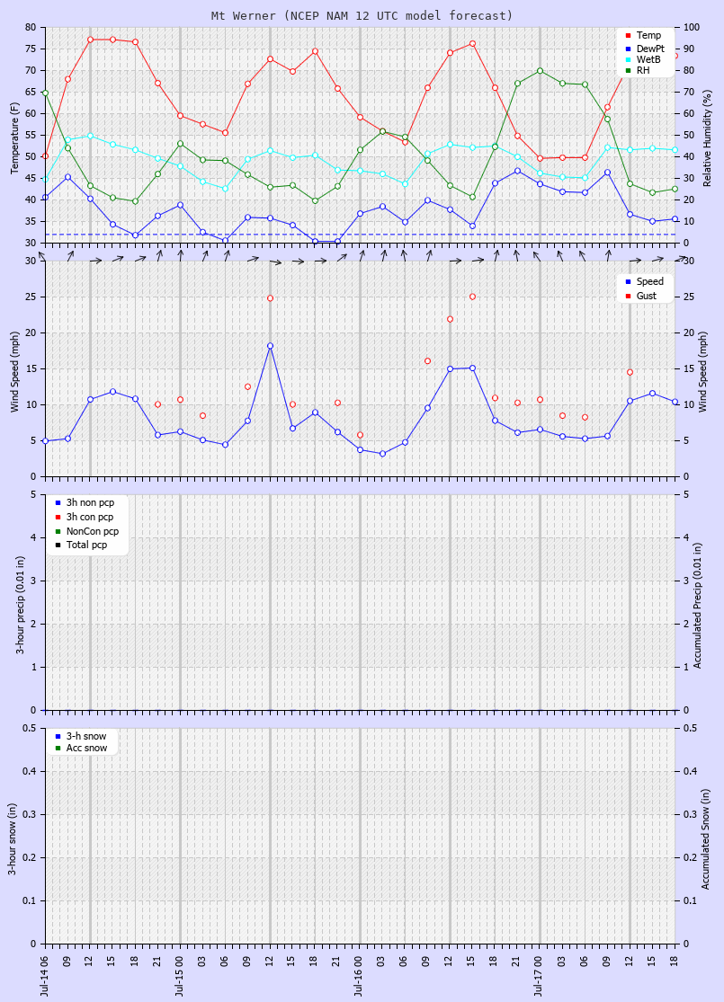 Click to enlarge the CAIC forecast for the Steamboat Ski Area at the top of Mt. Werner Latest NAM forecast