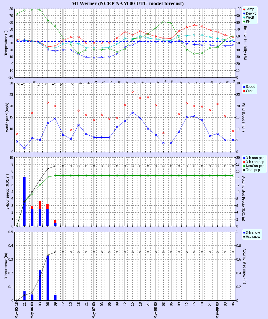 Latest NAM forecast
