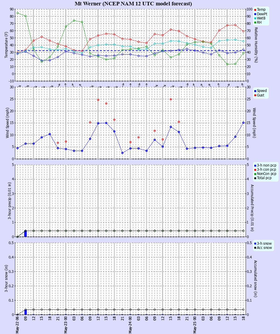 Latest NAM forecast