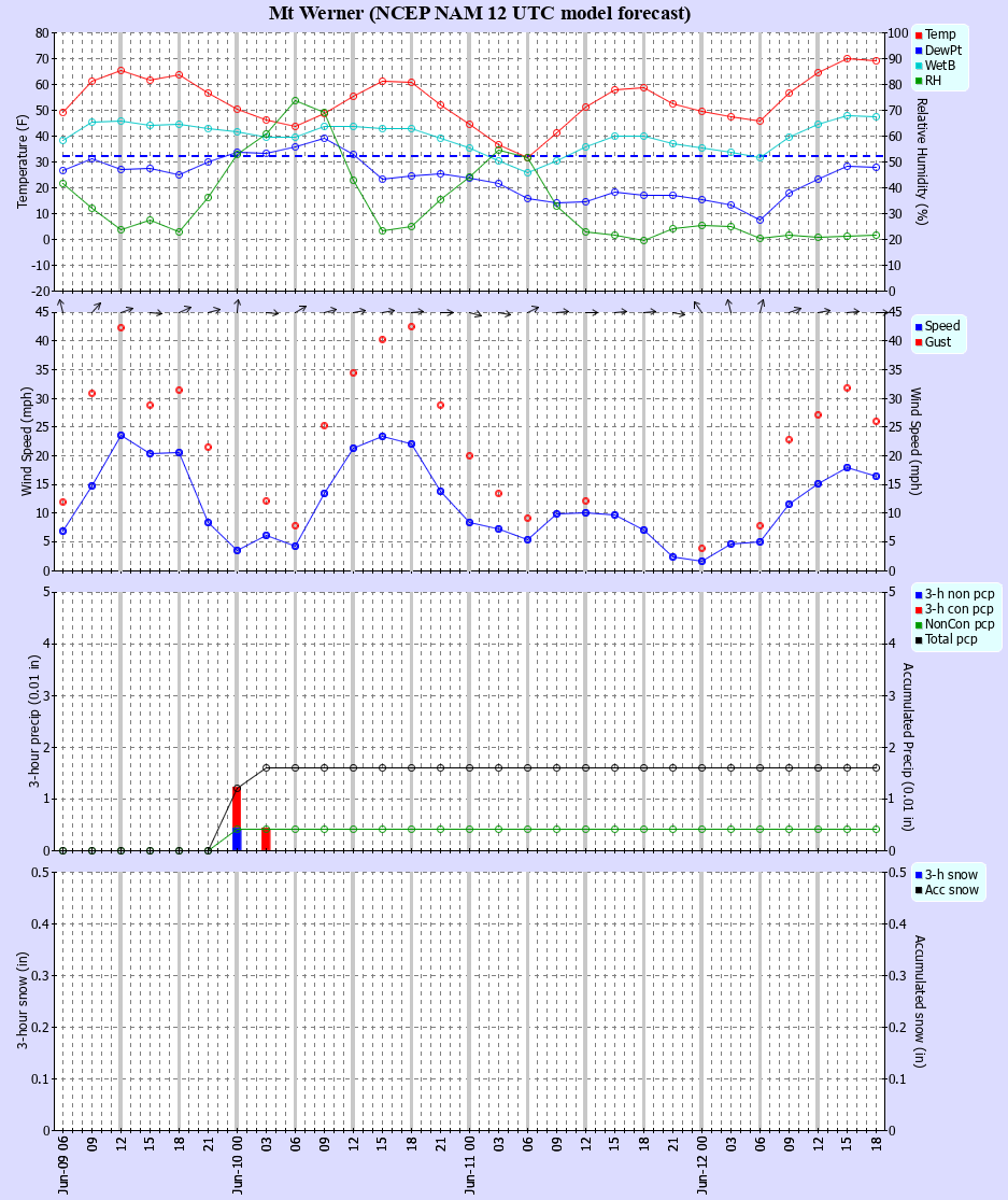 Latest NAM forecast
