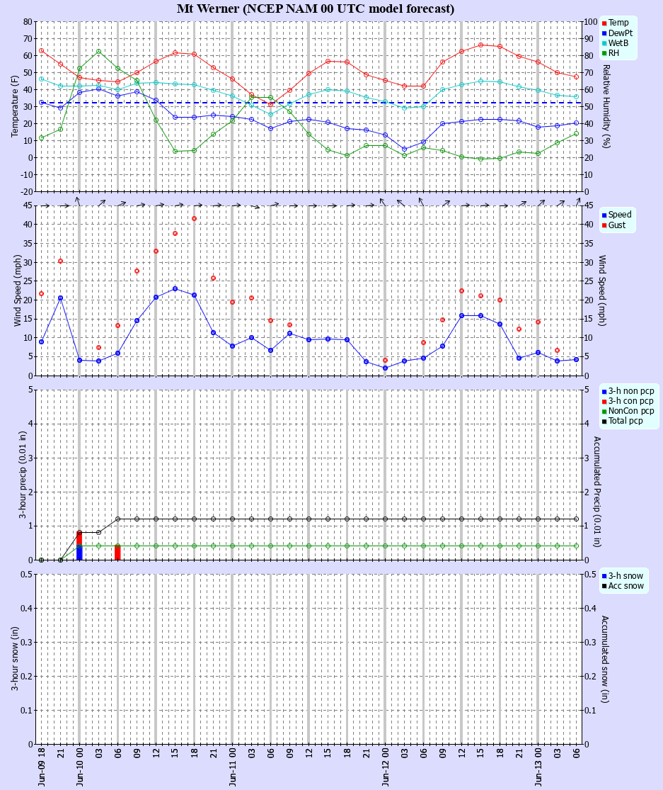 Latest NAM forecast