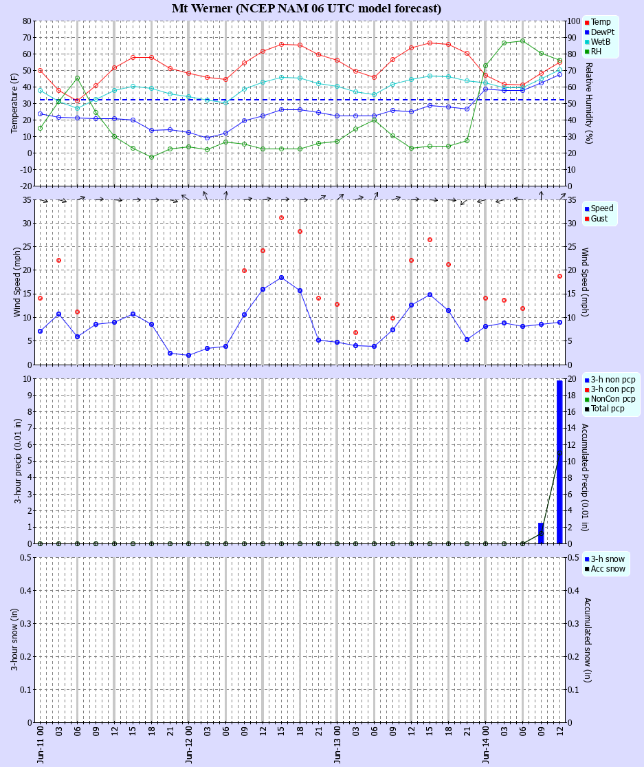 Latest NAM forecast
