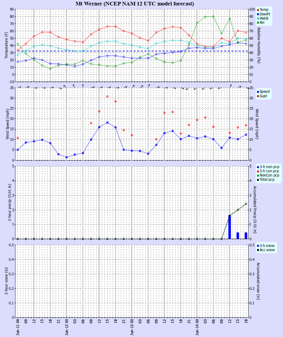 Latest NAM forecast