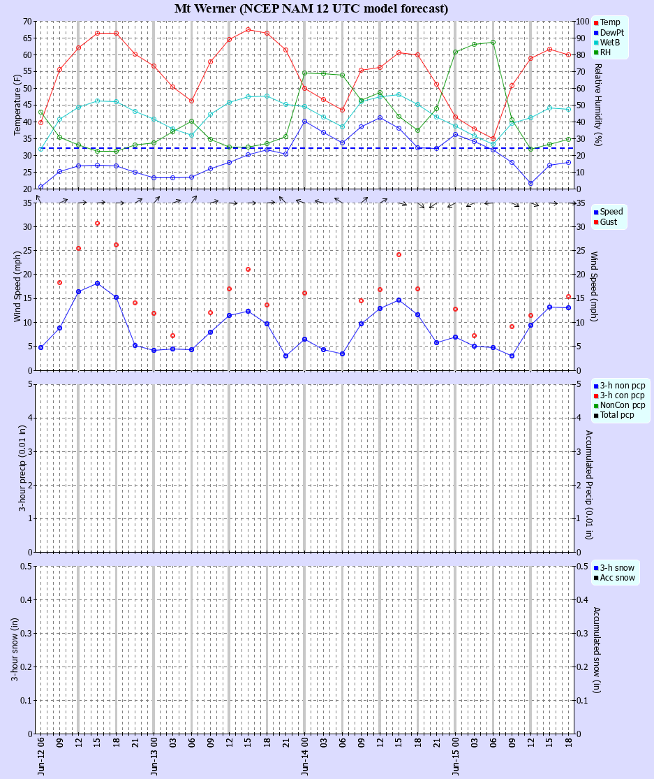 Latest NAM forecast