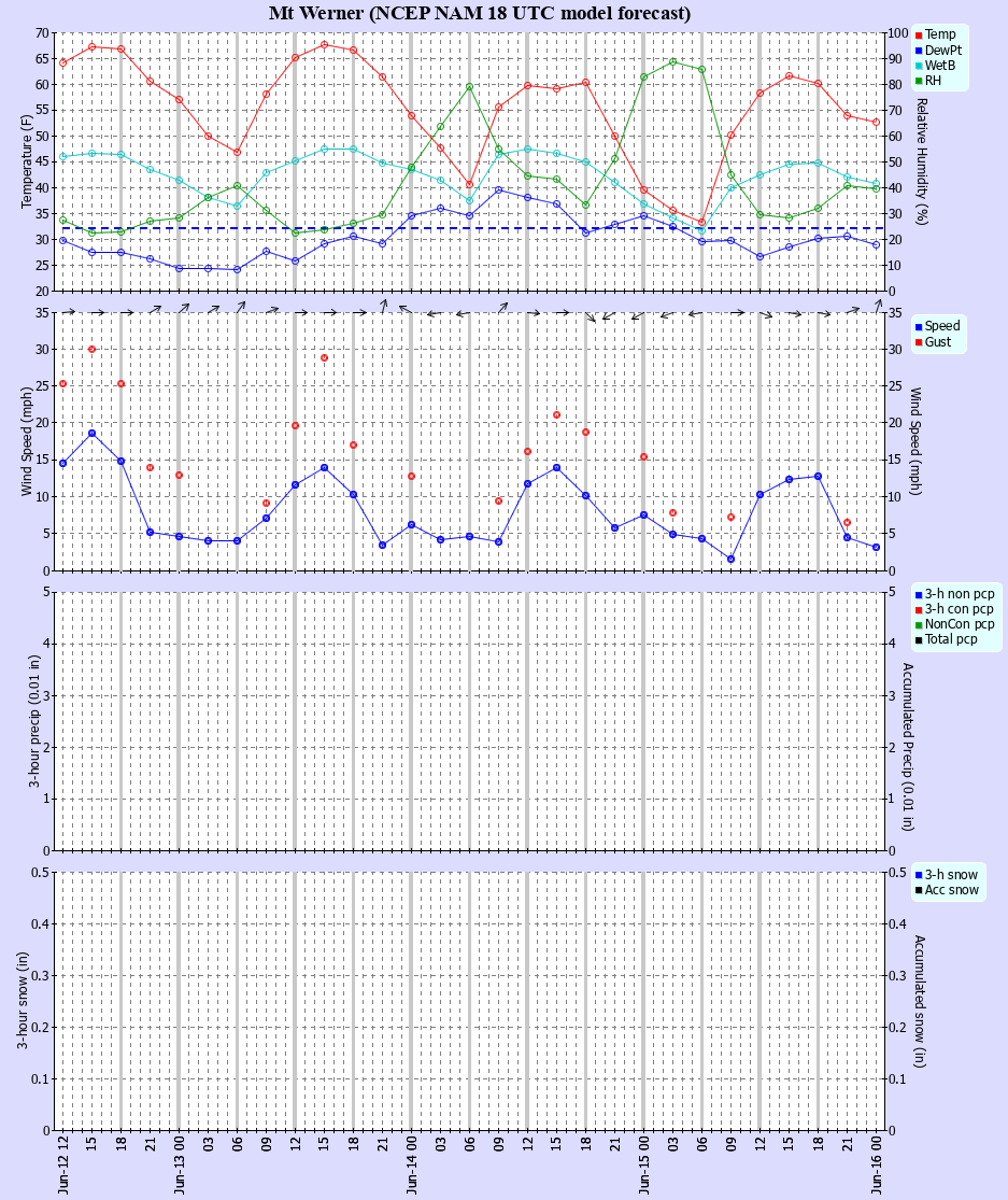 Latest NAM forecast