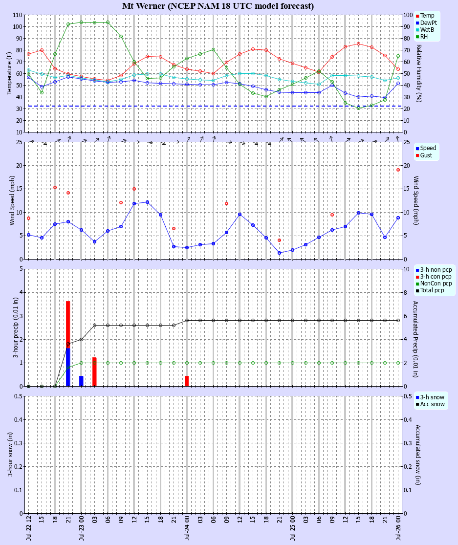 Latest NAM forecast