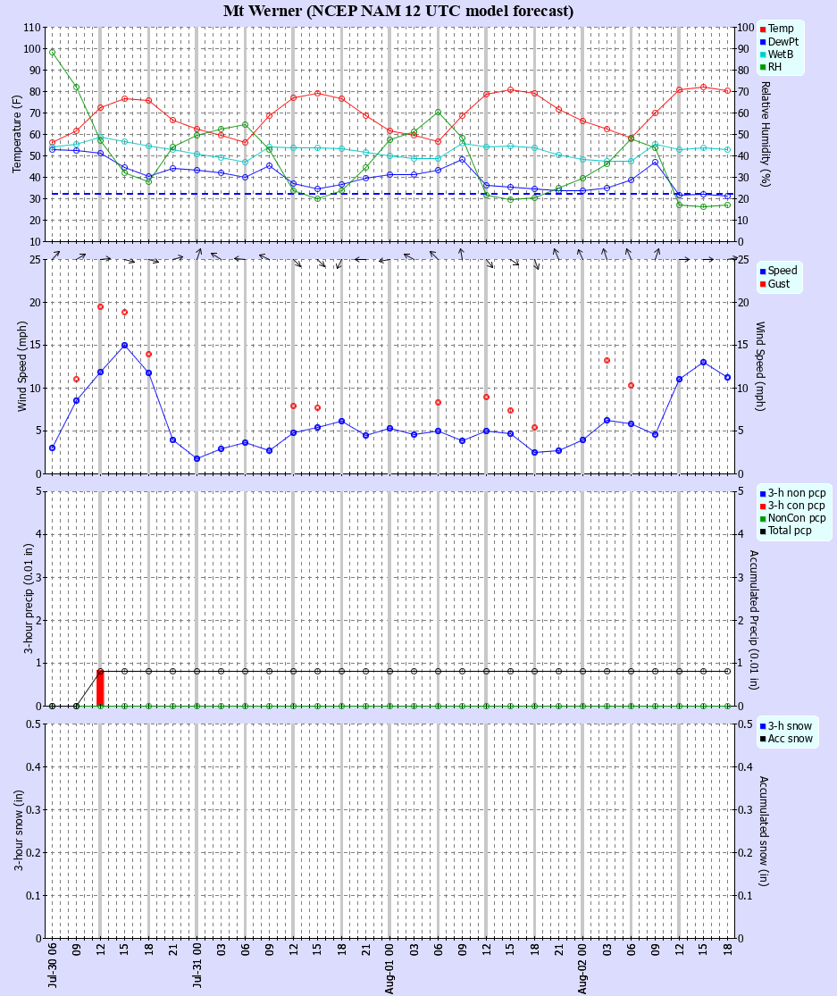 Latest NAM forecast