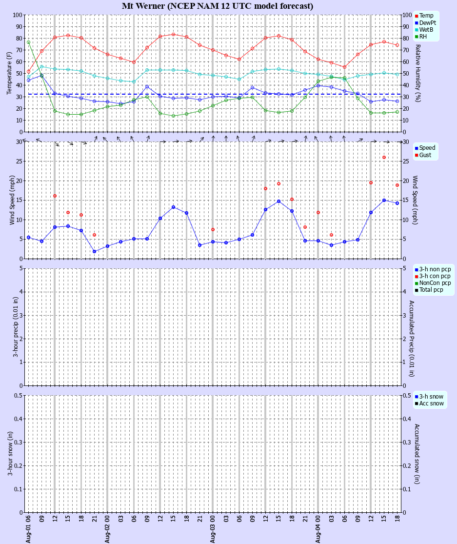 Latest NAM forecast