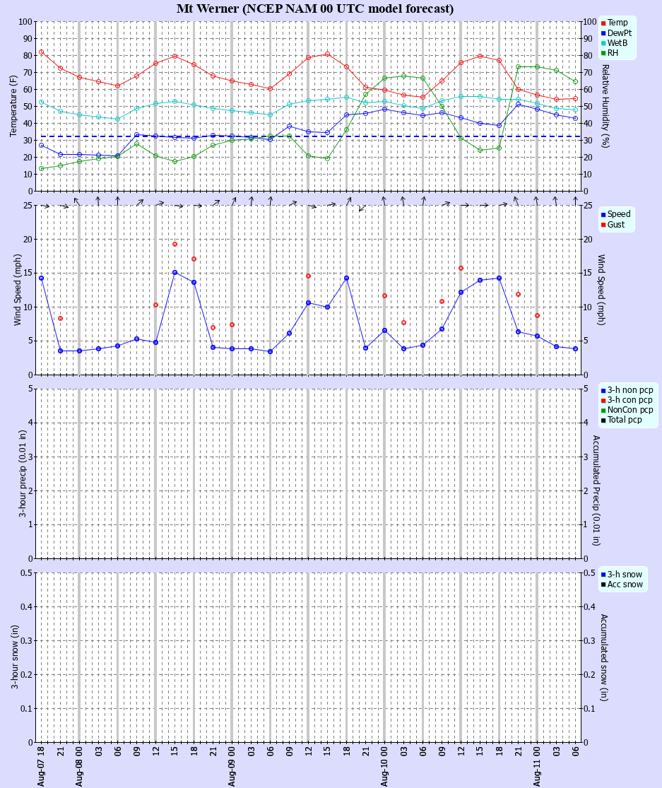 Latest NAM forecast