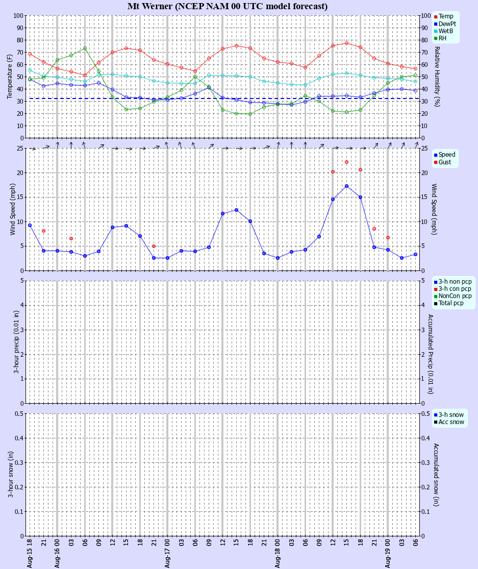 Latest NAM forecast