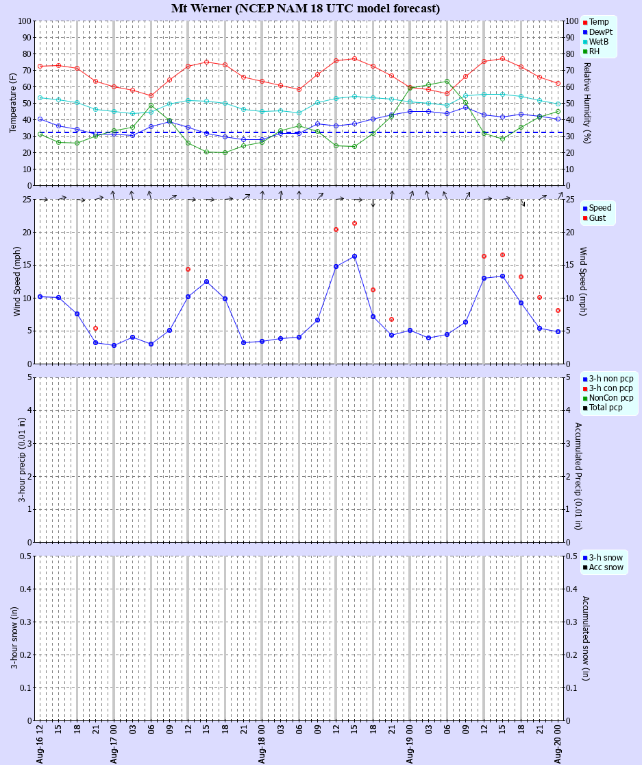 Latest NAM forecast