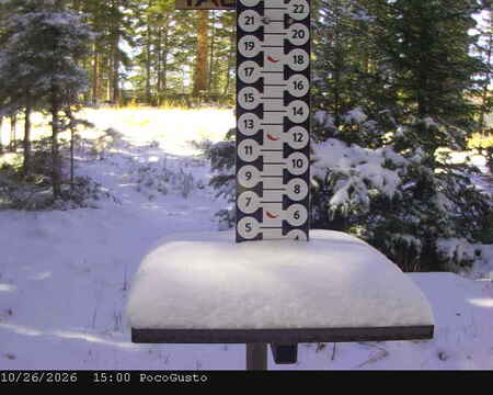 latest image of Taos
