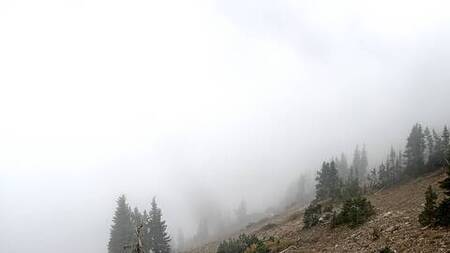 latest image of Jackson Hole